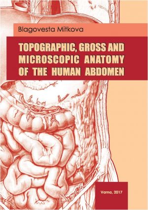 Topographic, Gross and Microscopic Anatomy of the Human Abdomen