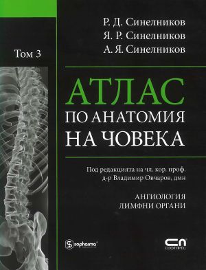 Атлас по анатомия на човека – Том 3 (Учение за съдовете и лимфните органи)