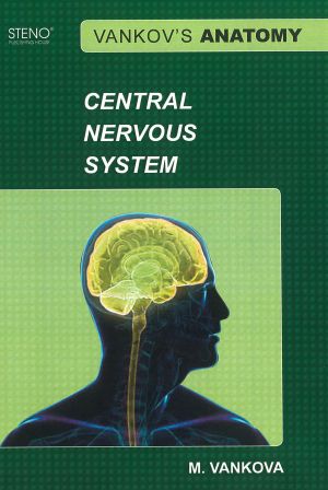 Vankov’s Anatomy - Central Nervous System