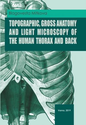 Topographic, Gross Anatomy and Light Microscopy of the Human Thorax and Back