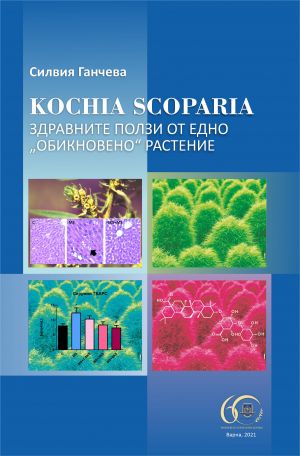 "Kochia scoparia" - здравните ползи от едно "обикновено" растение